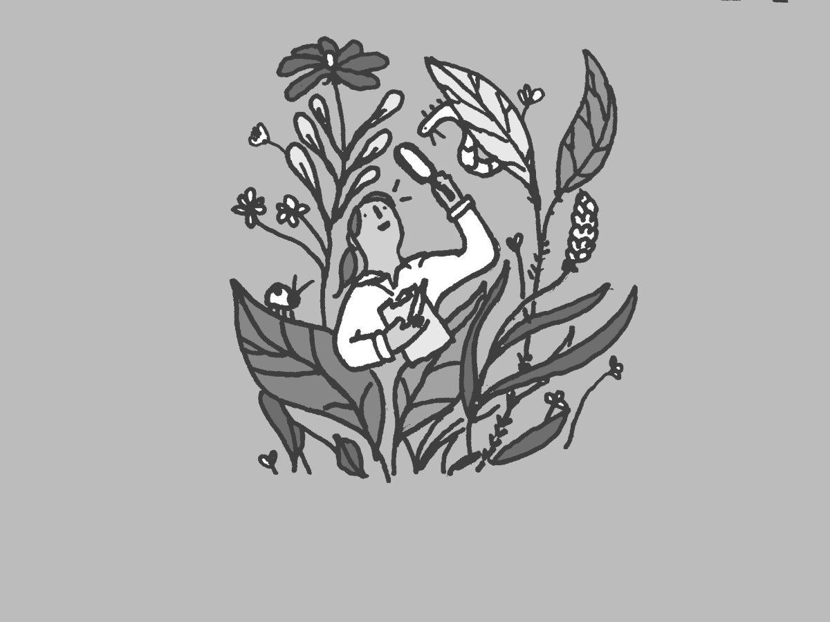 Illustration by Anna Weimholt '22
