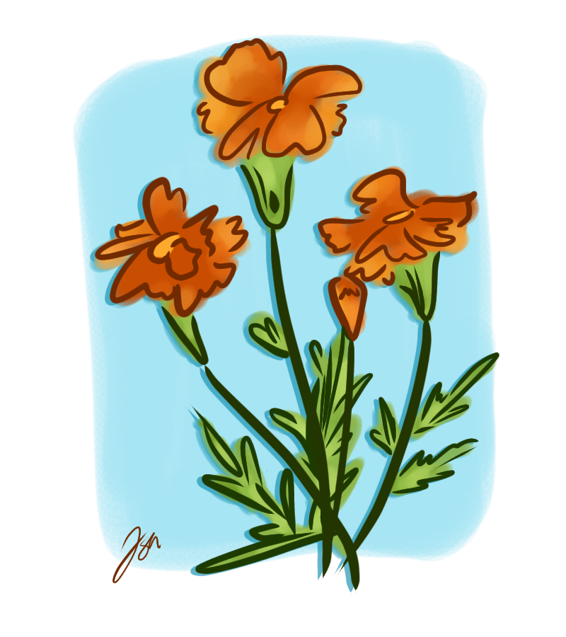 Marigolds