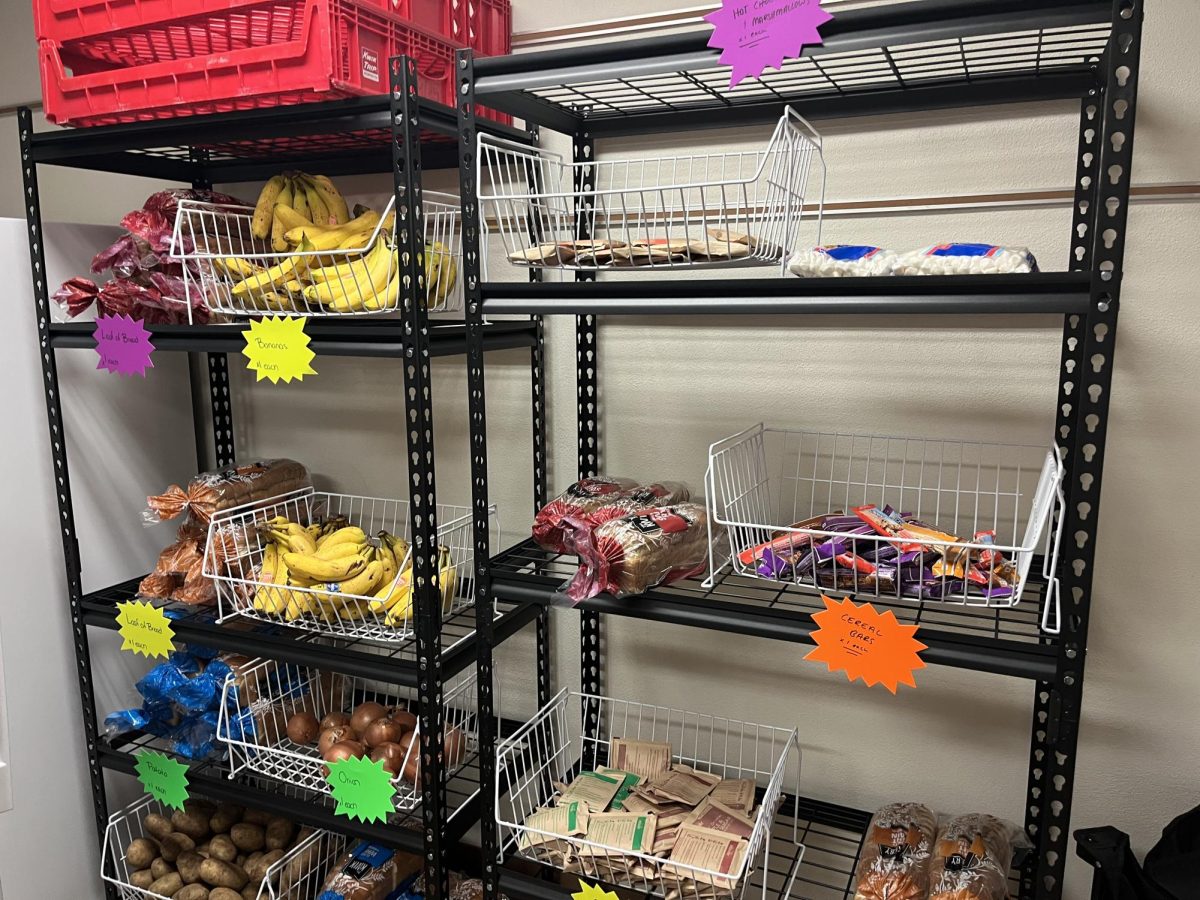 Taylor Center opens Lion’s Pantry to help students with food access