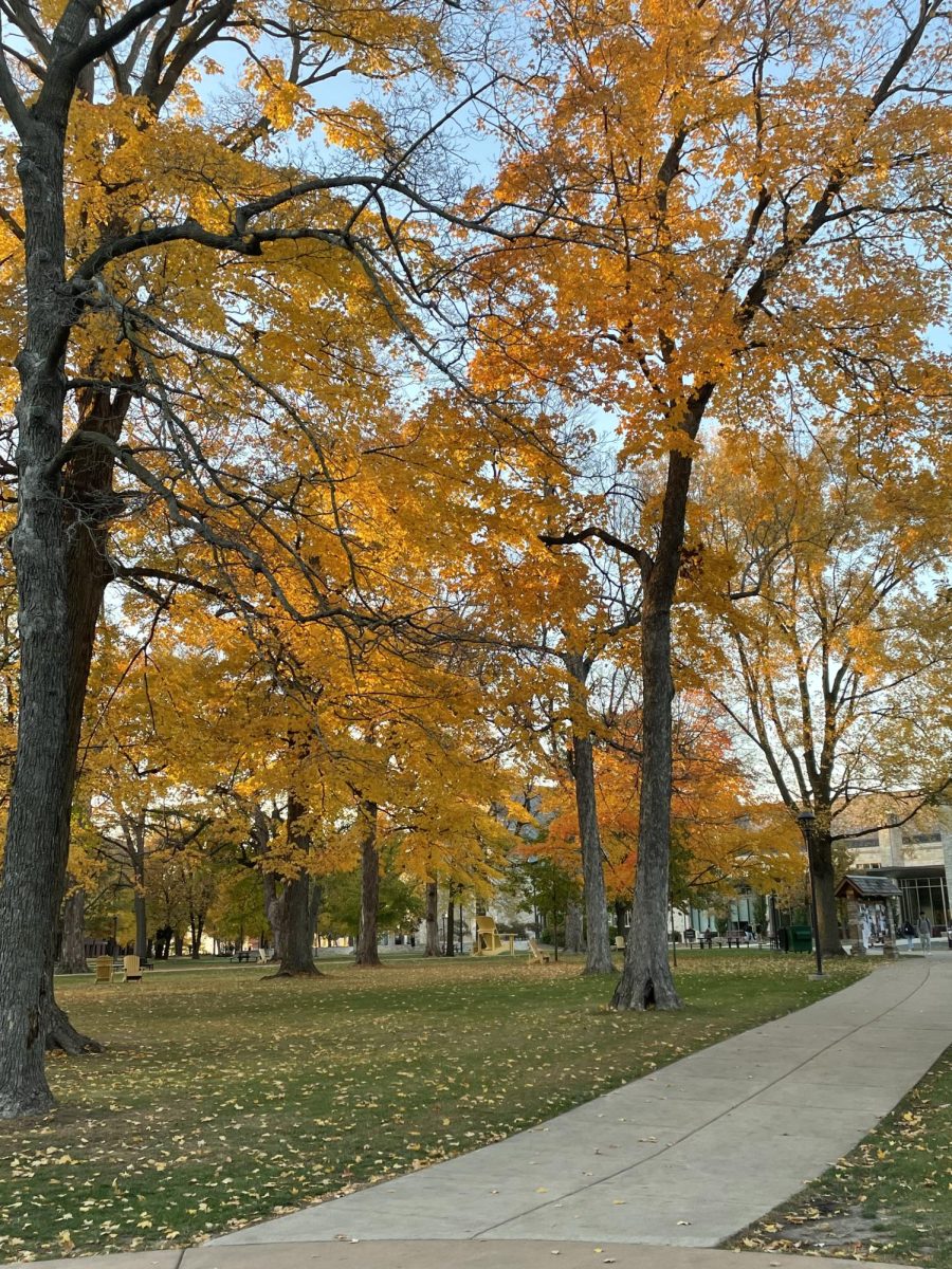 Good Question: Who takes care of our 11 miles of sidewalks and four miles of roads?